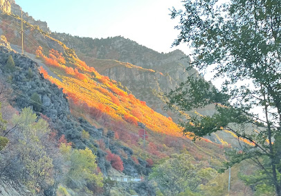 Ogden Fencing & Landscape in Ogden, Utah