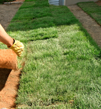 Sod — Ogden Fencing & Landscape, Ogden UT
